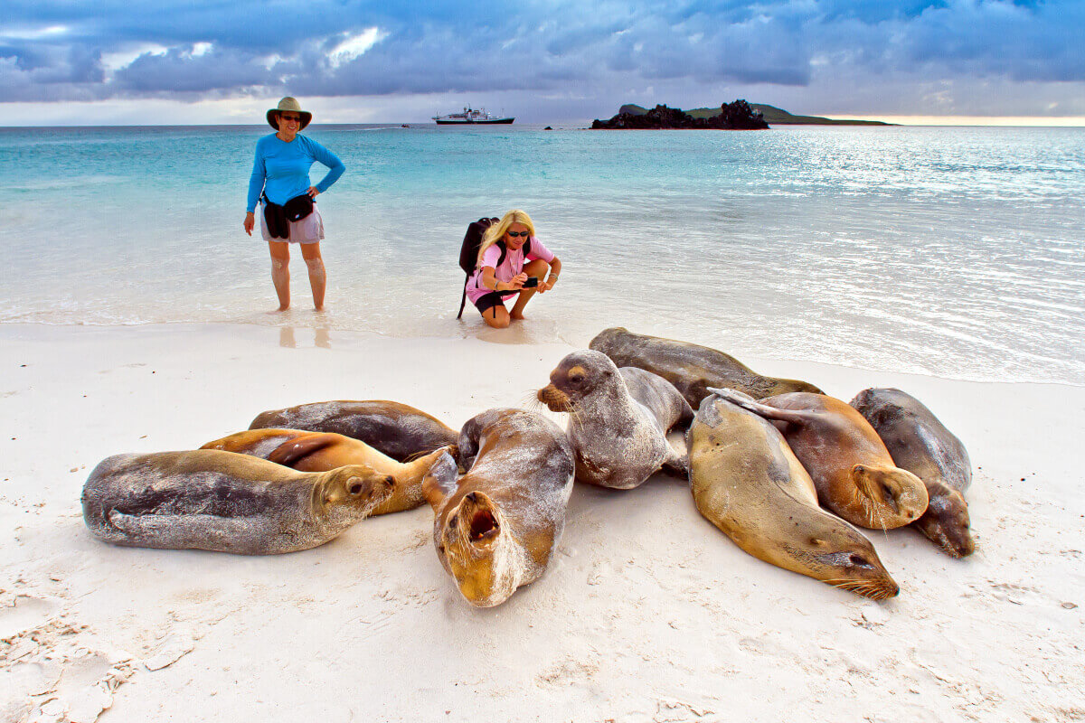 Viewing sea lions on the beach on the Galapagos Islands